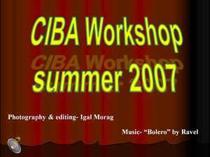 SIBA - workshop - 2007