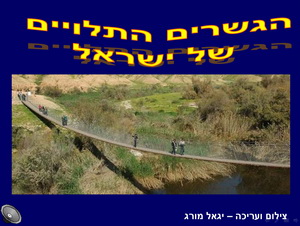 הגשרים התלויים של ישראל