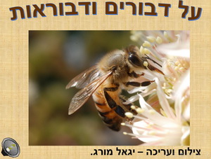 על דבורים ודבוראות