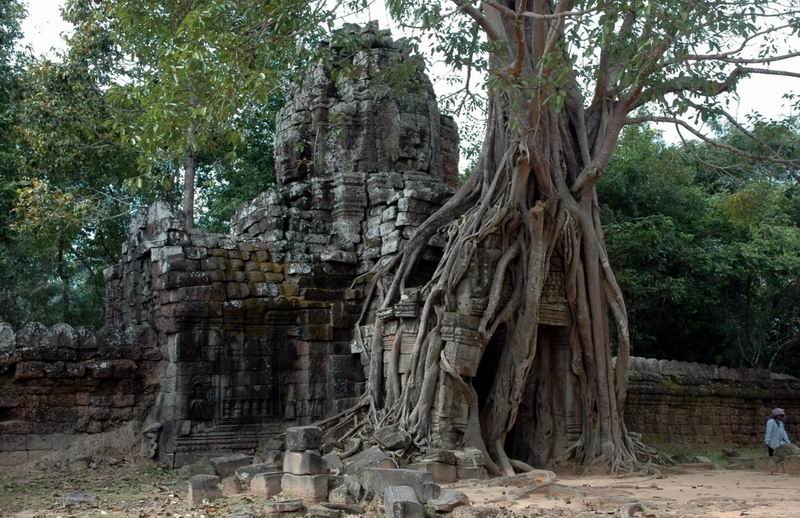 קמבודיה - מקדש טאי-סאם   