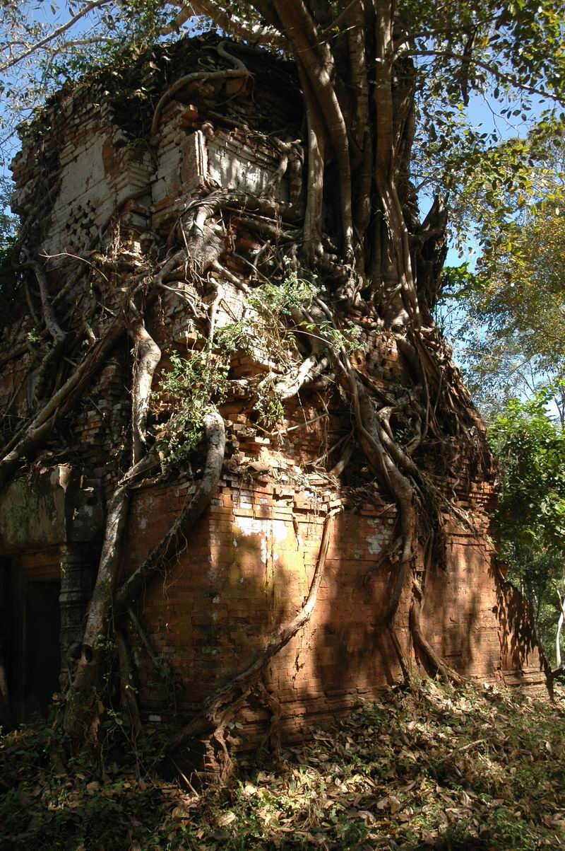 קמבודיה - מקדש חמשת המגדלים    