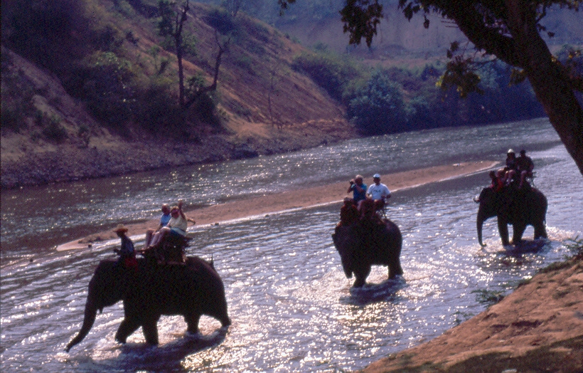 תאילנד - על פילים בנהר הקוק