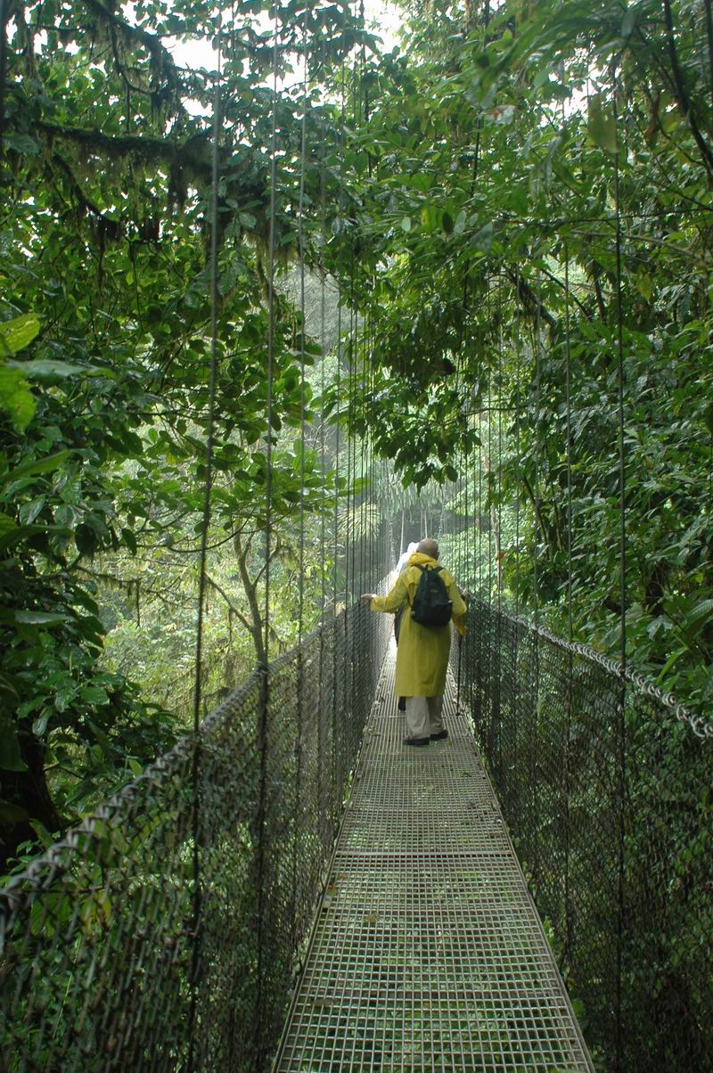קוסטה-ריקה - סיור ביער הגשם