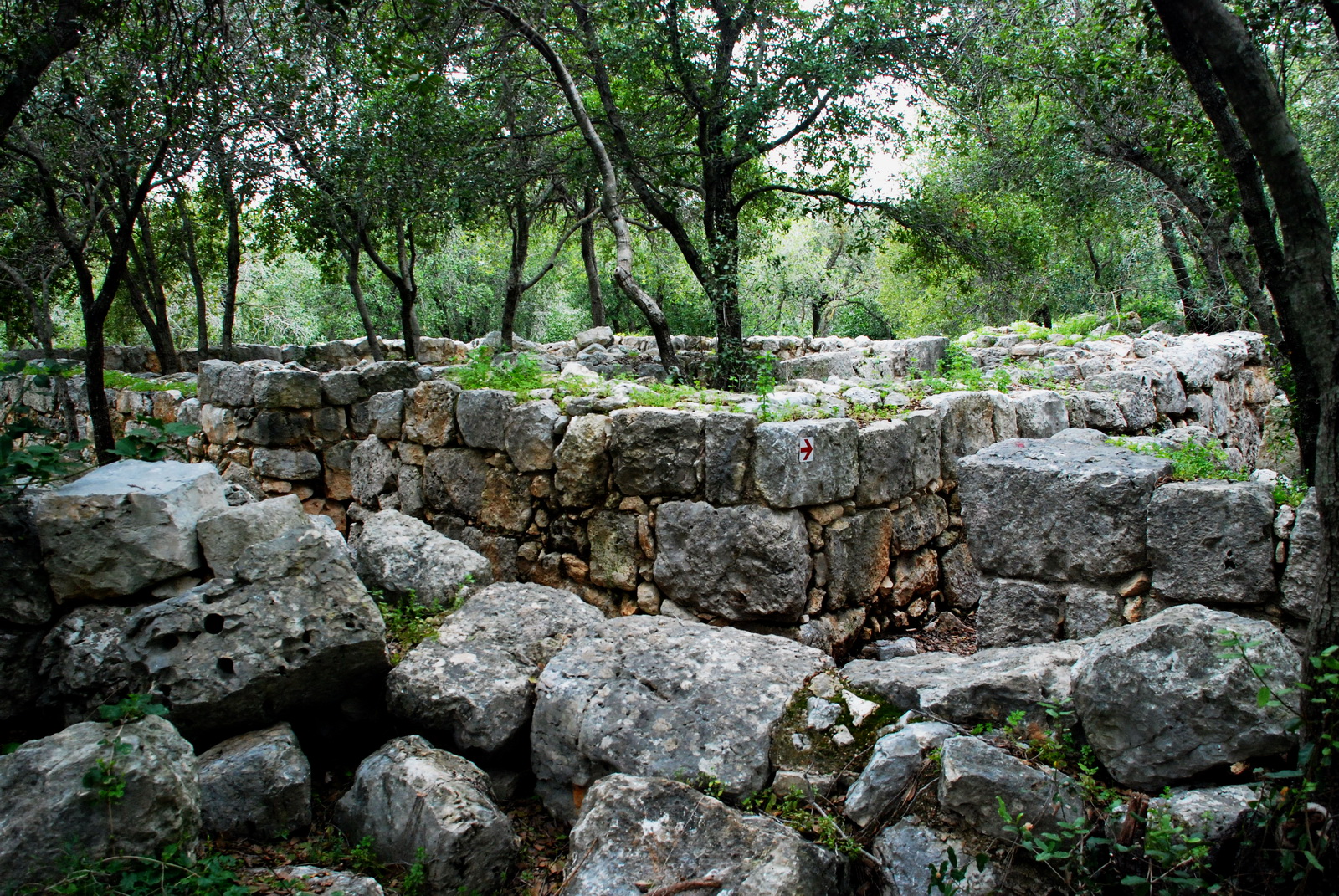 גליל מערבי - חיר' דנעילה - אתר צלבני על שרידים רומים - ביזנתים - שרידי מבנים