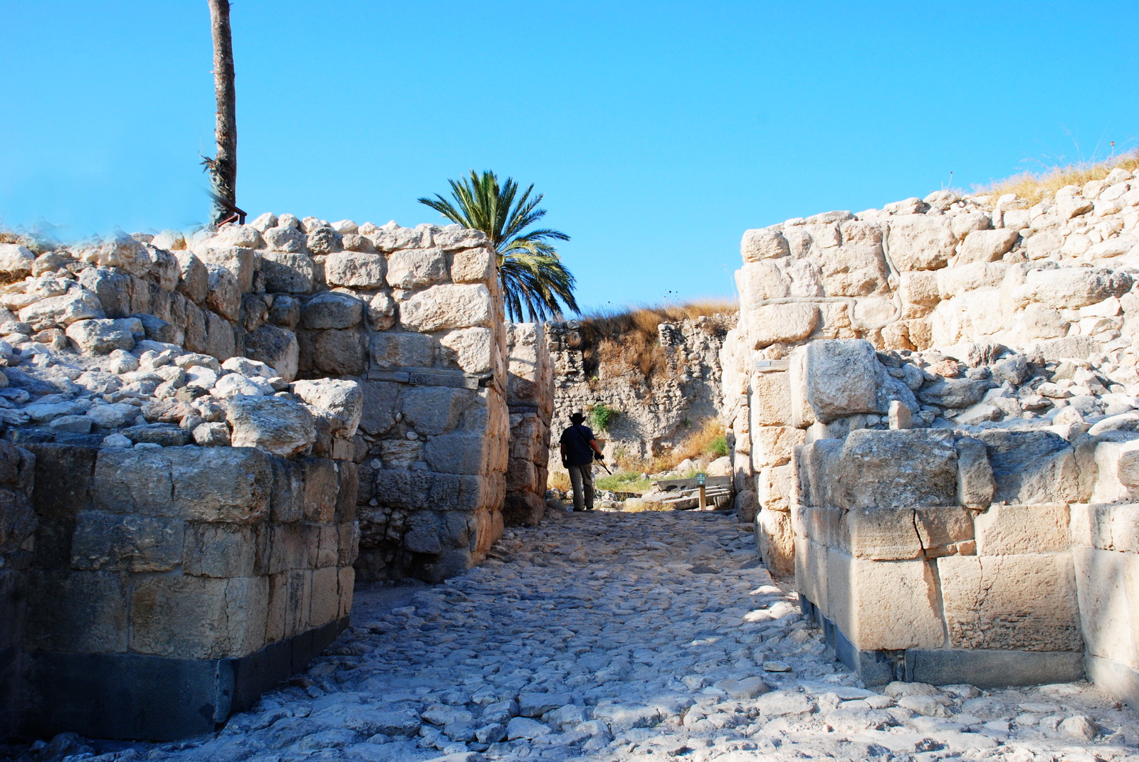 עמק יזרעאל - תל מגידו - עוד עיר מערי שלמה - לפנינו שער העיר