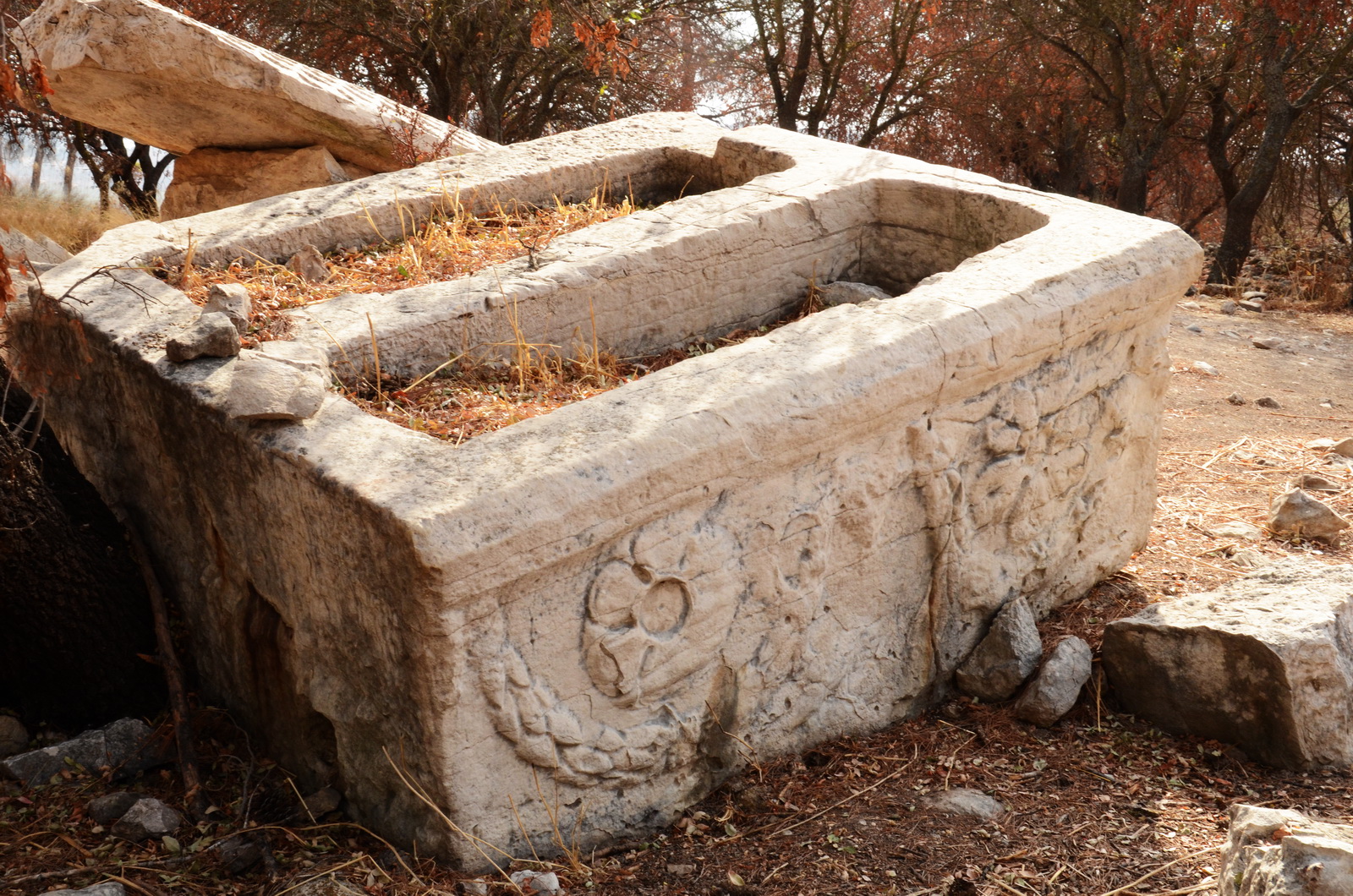תל קדש - סרקופגי ענק (ארונות קבורה)  לבודדים ולזוגות ברחבי האתר