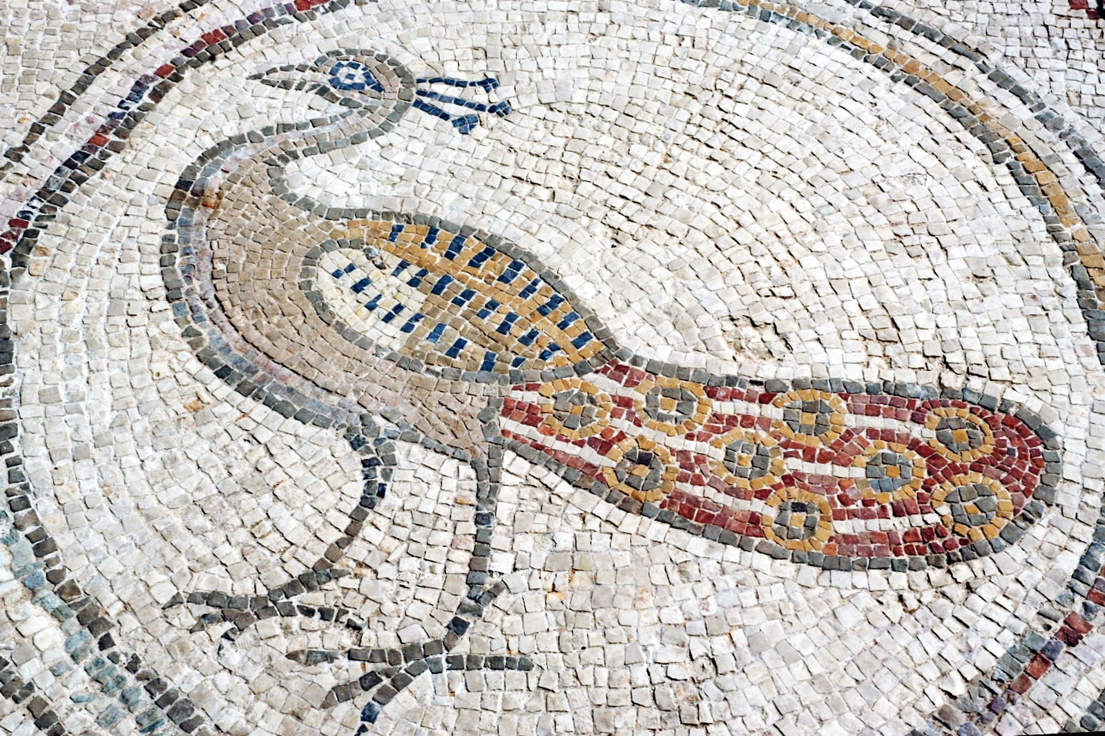 פסיפס הציפורים בקיסריה - טווס