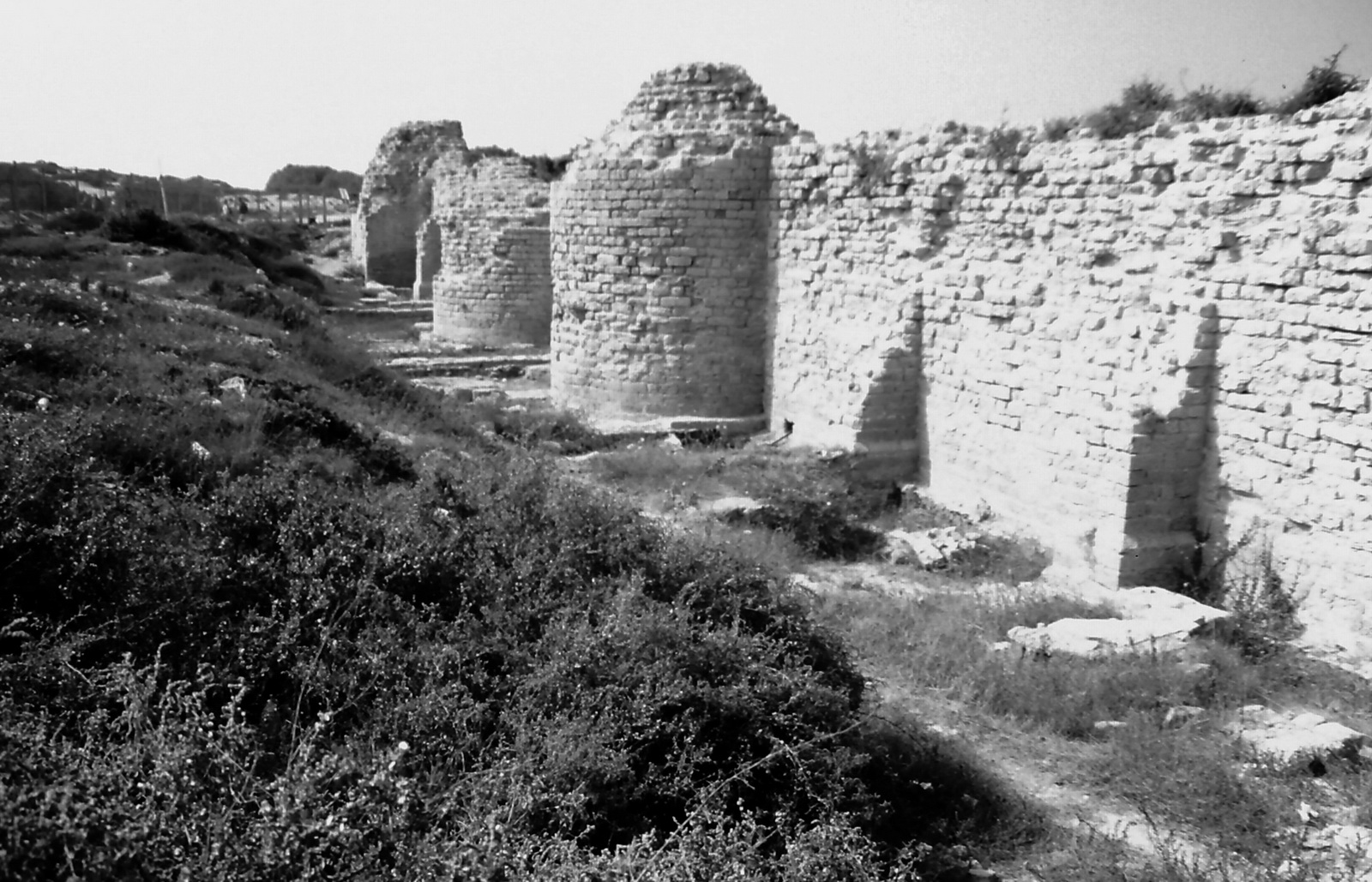 אשדוד ים - חומה מזרחית