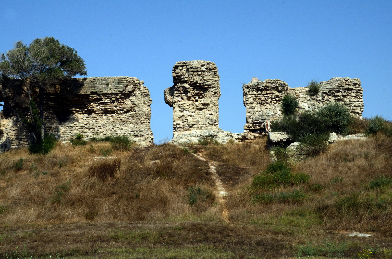 אשקלון - הפארק הארכיאולוגי - שרידי חומה ממלוכית