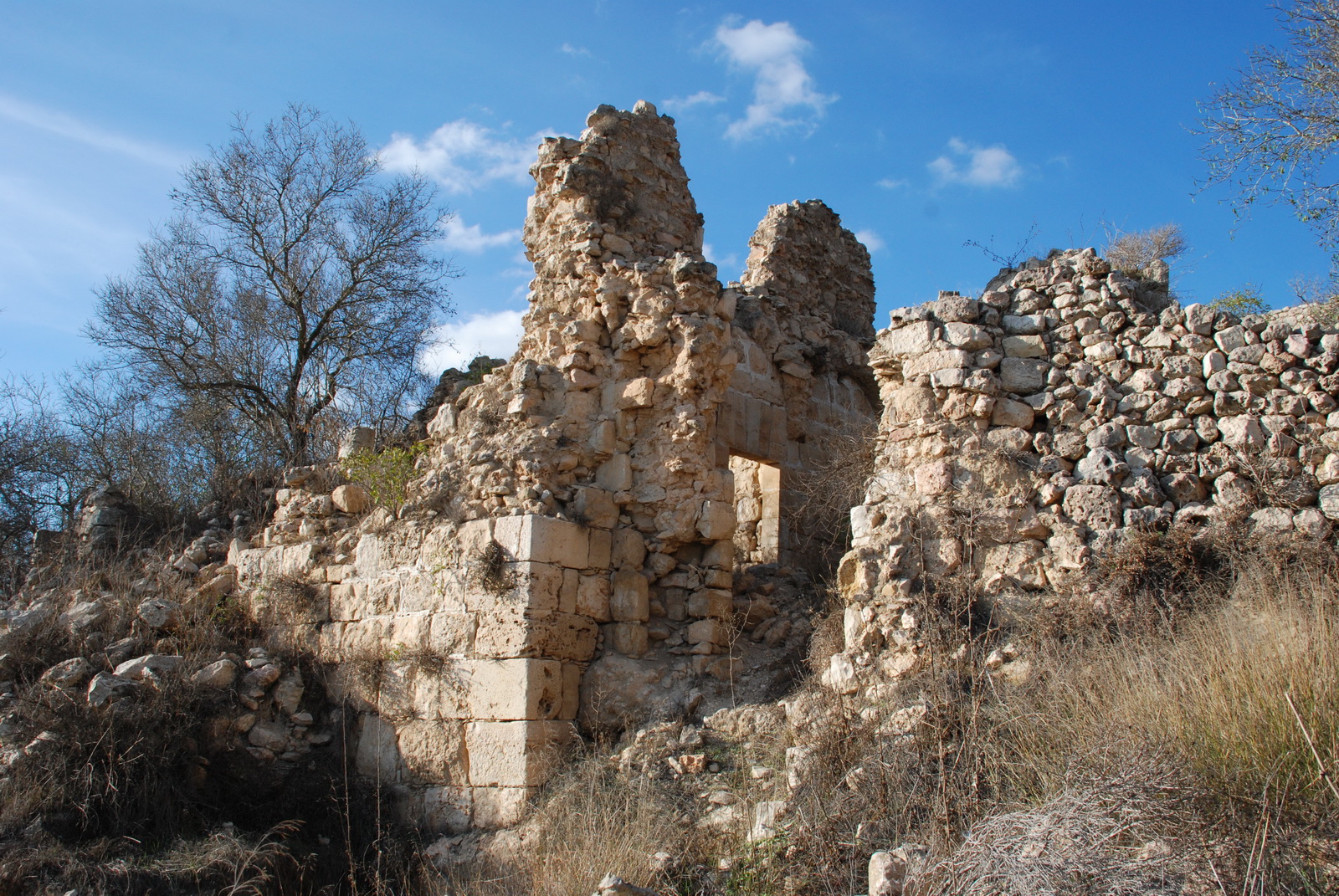 צובה - שרידי המבצר הצלבני בלמונט