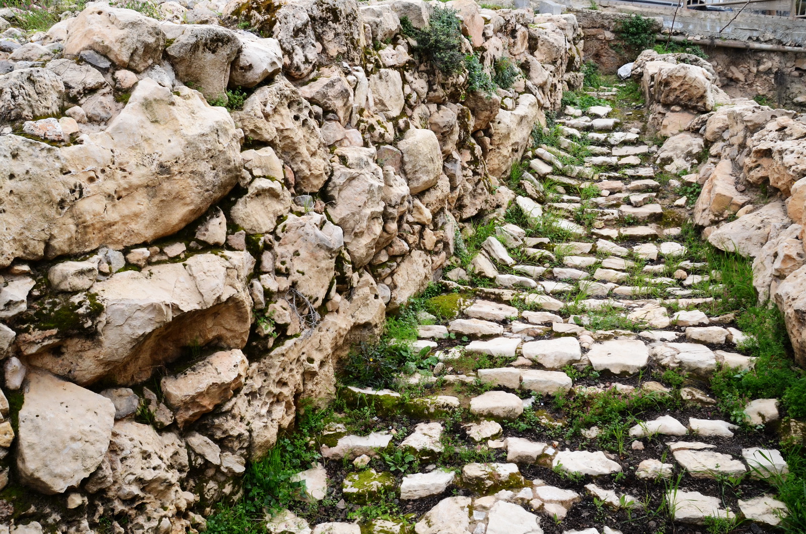 תל חברון - קטע חומה ומעלות לשער מתק' הברונזה הקדומה - מלפני כ 4500 שנה