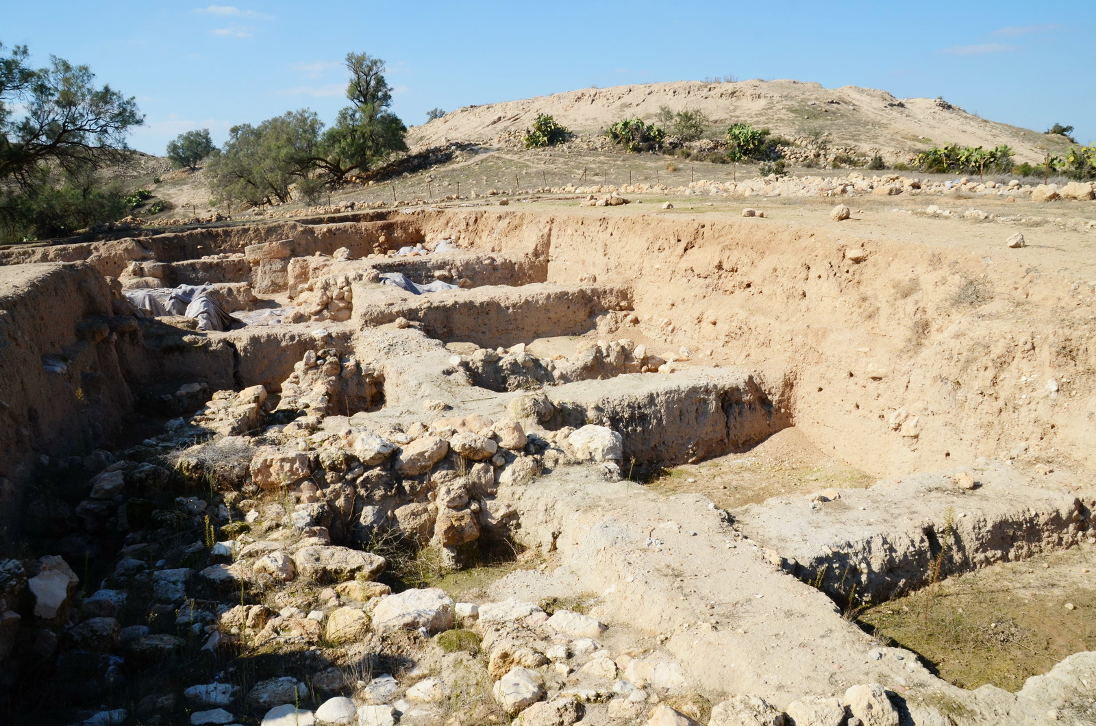 תל צפית - אתר החפירות למרגלות התל