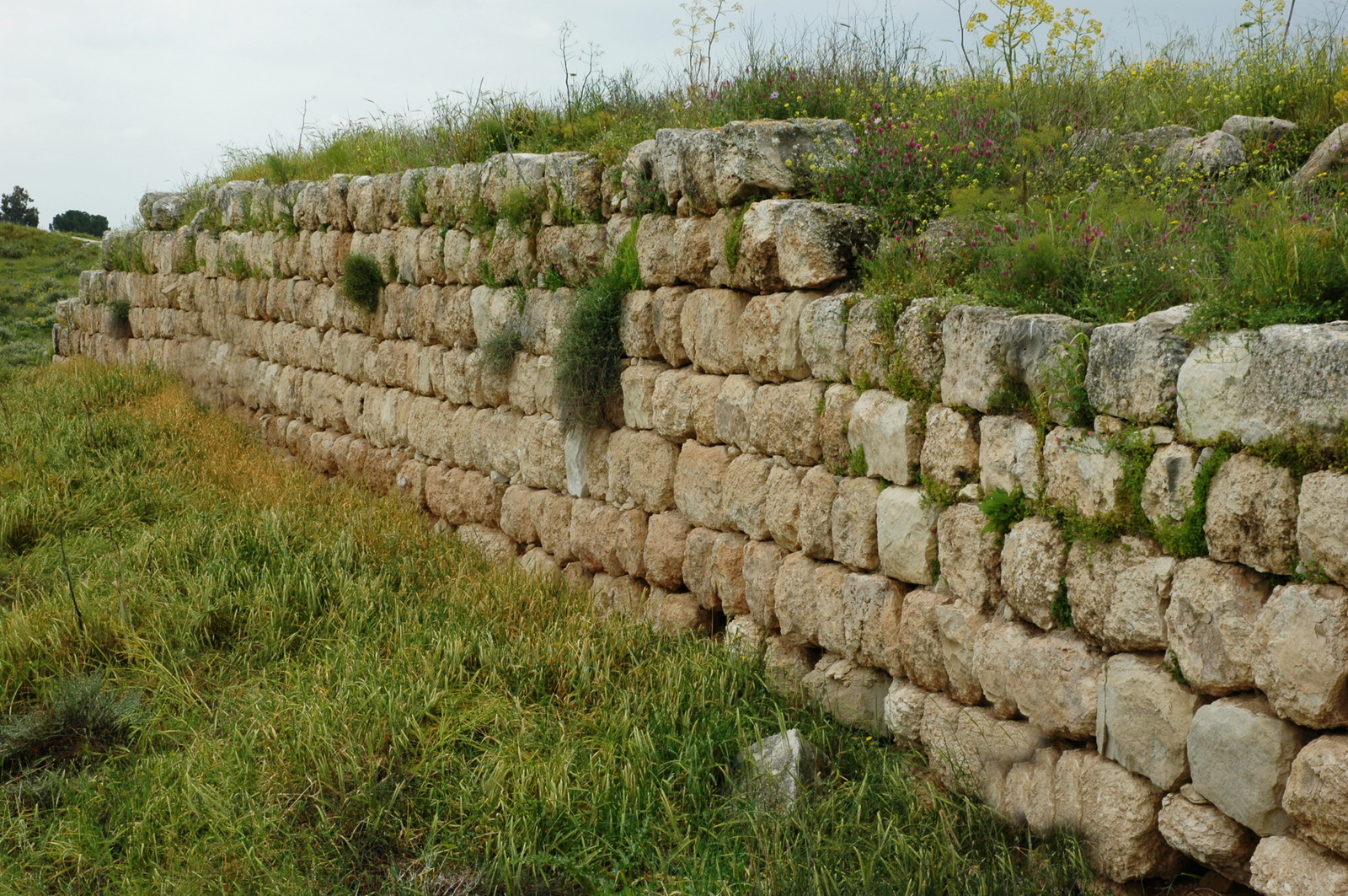 תל לכיש - על התל שרידי ערים החל מהמאה ה 12 לפנ'הס - כאן - ארמון המצודה