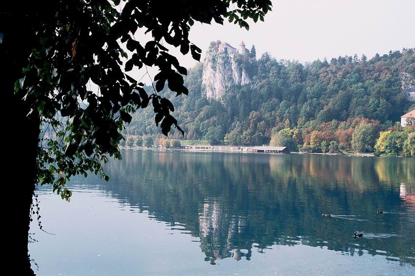 סלובניה - אגם בלד